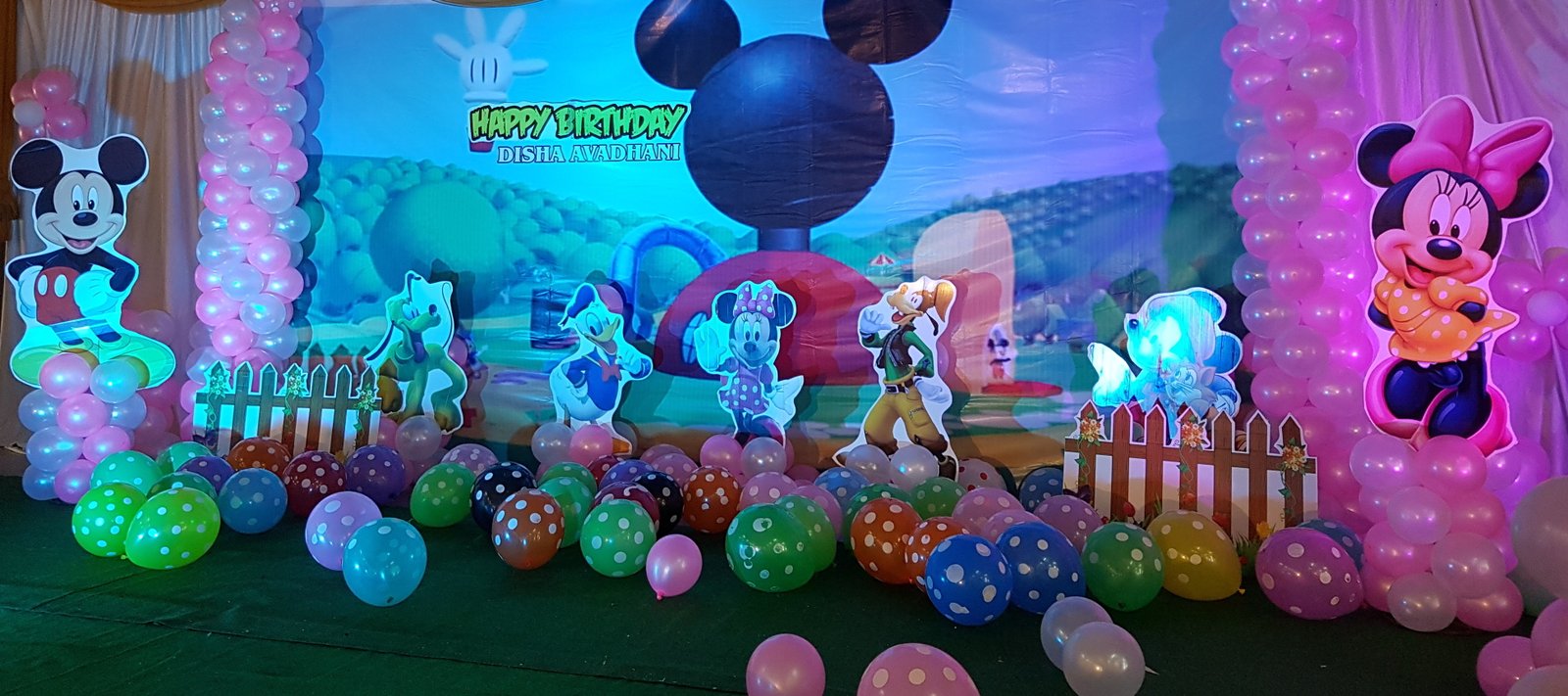 Mickey mouse theme birthday party organisers