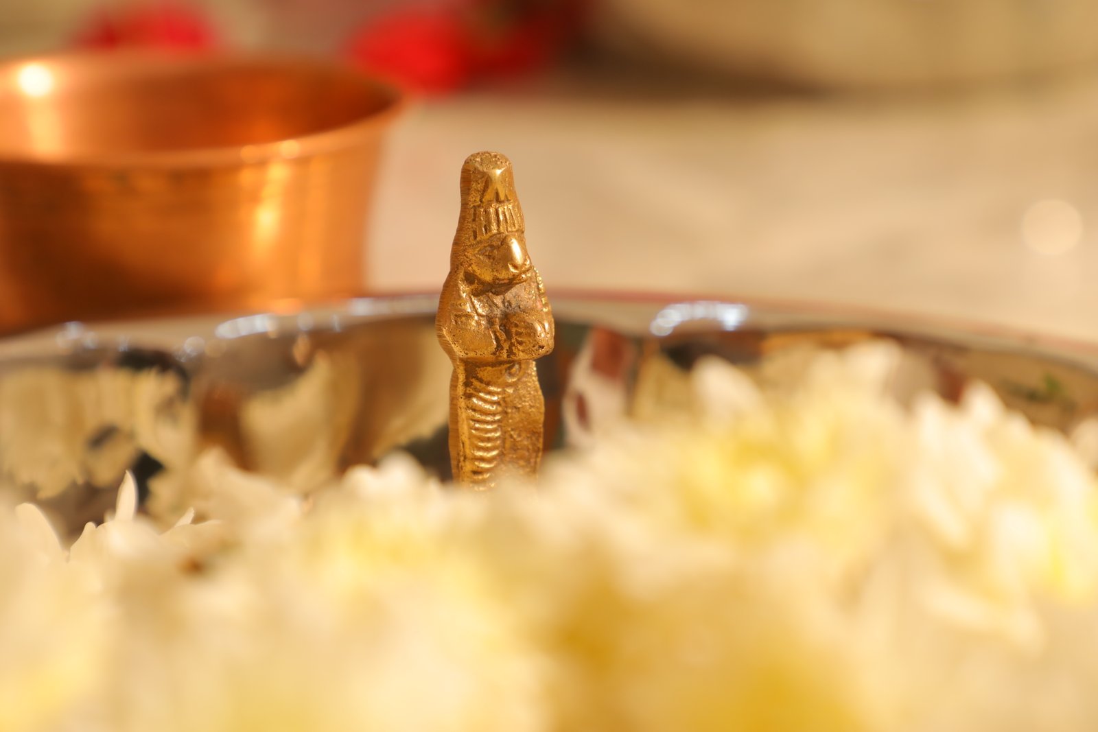 Housewarming caterer in Bangalore